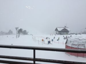 C348CEC7-A66C-431F-81A3-8B2BFDEB7C72D336BD89-D240-4642-86AB-3D6564C304B1