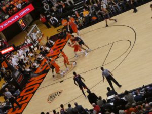 9A9B213E-021B-47E3-9663-1822FFD40173