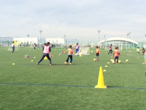 グラスルーツ３